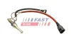 Einspritzventil, Harnstoffeinspritzung FAST FT81702 Bild Einspritzventil, Harnstoffeinspritzung FAST FT81702