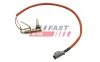 Einspritzventil, Harnstoffeinspritzung FAST FT81703 Bild Einspritzventil, Harnstoffeinspritzung FAST FT81703