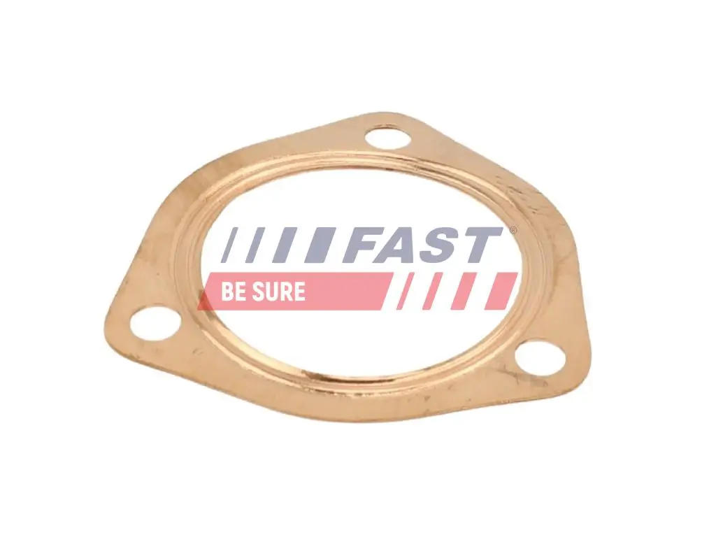 Dichtung, Abgasrohr hinten vorne FAST FT84590