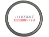 Dichtung, Abgasrohr Abgasrohr an Abgasturbolader FAST FT84595