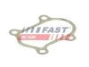 Dichtung, Abgasrohr Zylinderkopf FAST FT84803