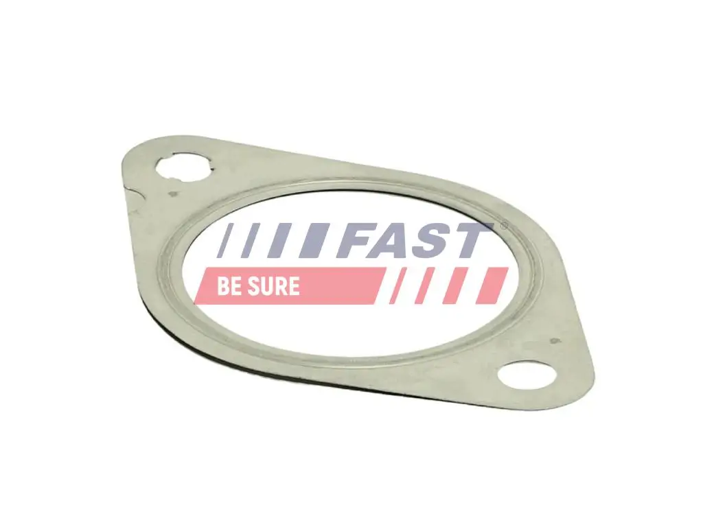 Dichtung, Abgasrohr Eingang FAST FT84812