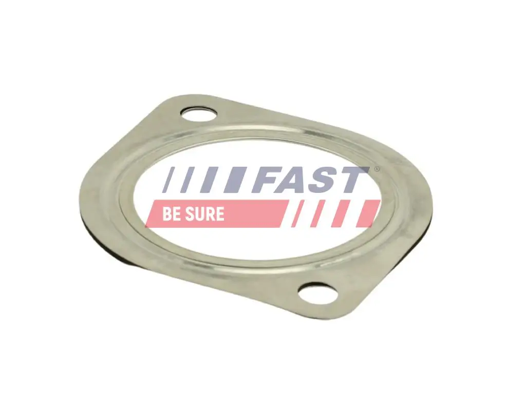 Dichtung, Abgasrohr Eingang FAST FT84813