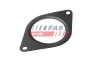 Dichtung, Abgasrohr FAST FT84828 Bild Dichtung, Abgasrohr FAST FT84828