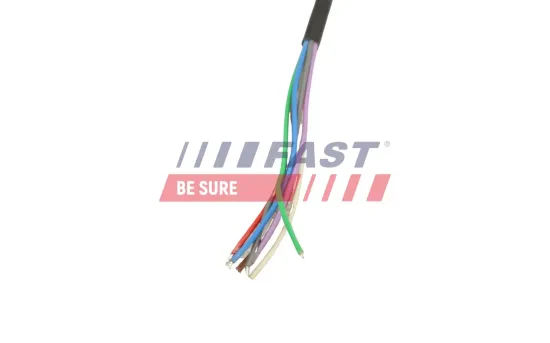 Schlussleuchte rechts FAST FT86221 Bild Schlussleuchte rechts FAST FT86221