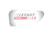 Spiegelglas rechts FAST FT88594 Bild Spiegelglas rechts FAST FT88594