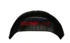Verkleidung, Radhaus hinten links FAST FT90520 Bild Verkleidung, Radhaus hinten links FAST FT90520