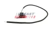 Türschloss hinten links FAST FT90684 Bild Türschloss hinten links FAST FT90684