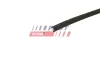 Türschloss hinten links FAST FT90684 Bild Türschloss hinten links FAST FT90684