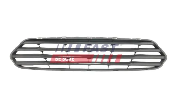 Kühlergitter FAST FT91679 Bild Kühlergitter FAST FT91679
