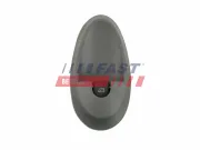 Schalter, Fensterheber vorne rechts FAST FT91999