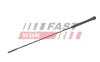 Antenne FAST FT92513 Bild Antenne FAST FT92513