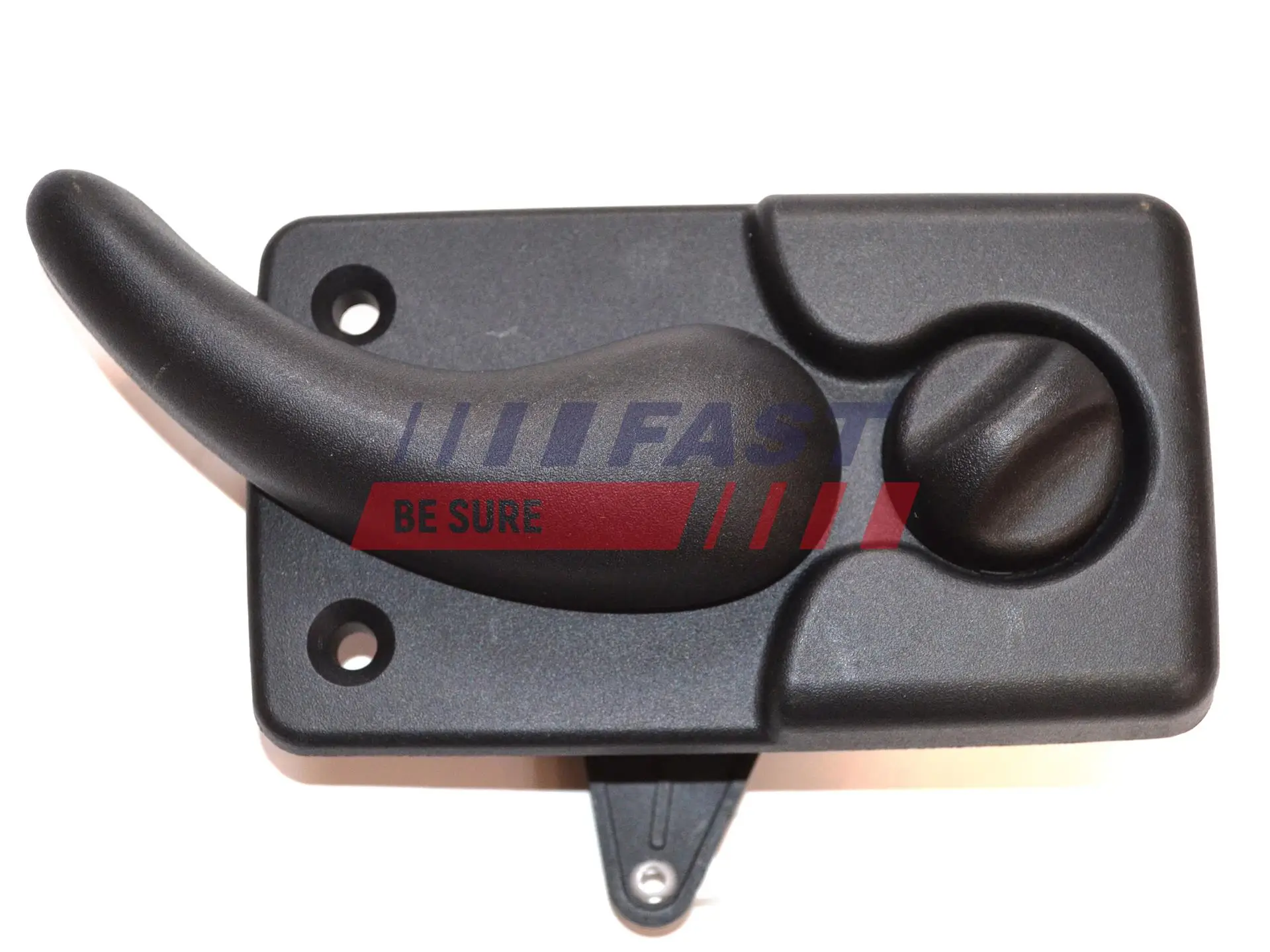 Türgriff, Innenausstattung innen hinten rechts FAST FT94573