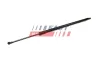 Gasfeder, Koffer-/Laderaum FAST FT94802 Bild Gasfeder, Koffer-/Laderaum FAST FT94802