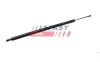 Gasfeder, Koffer-/Laderaum FAST FT94802 Bild Gasfeder, Koffer-/Laderaum FAST FT94802