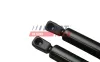 Gasfeder, Koffer-/Laderaum Kofferraumdeckel FAST FT94803K Bild Gasfeder, Koffer-/Laderaum Kofferraumdeckel FAST FT94803K