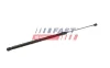 Gasfeder, Koffer-/Laderaum FAST FT94805 Bild Gasfeder, Koffer-/Laderaum FAST FT94805