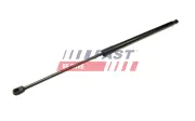 Gasfeder, Koffer-/Laderaum FAST FT94810