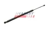 Gasfeder, Koffer-/Laderaum FAST FT94810 Bild Gasfeder, Koffer-/Laderaum FAST FT94810
