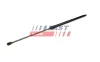 Gasfeder, Koffer-/Laderaum FAST FT94814