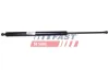 Gasfeder, Koffer-/Laderaum Kofferraumdeckel FAST FT94828