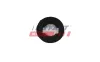 Clip, Zier-/Schutzleiste FAST FT96604 Bild Clip, Zier-/Schutzleiste FAST FT96604