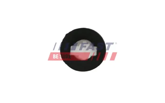 Clip, Zier-/Schutzleiste FAST FT96604 Bild Clip, Zier-/Schutzleiste FAST FT96604