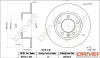 Bremsscheibe Hinterachse Dr!ve+ DP1010.11.0319