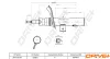 Stoßdämpfer Vorderachse rechts Dr!ve+ DP1610.10.0016 Bild Stoßdämpfer Vorderachse rechts Dr!ve+ DP1610.10.0016
