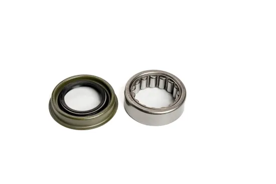 Radlagersatz Hinterachse DR!VE+ DP2010.10.0722 Bild Radlagersatz Hinterachse DR!VE+ DP2010.10.0722