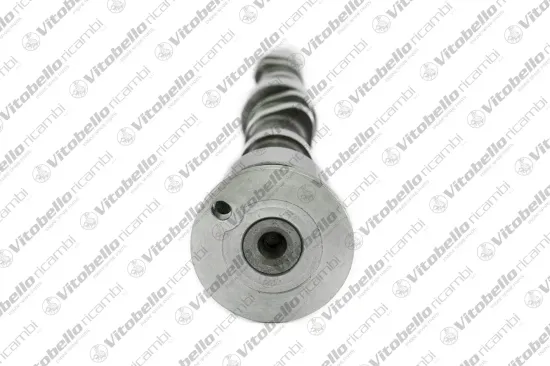 Nockenwelle Auslassseite Vitobello Ricambi 1003368N Bild Nockenwelle Auslassseite Vitobello Ricambi 1003368N