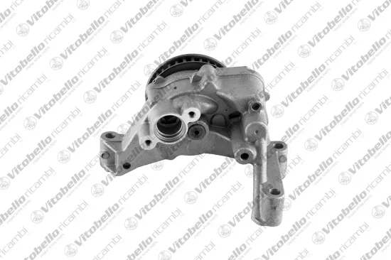 Ölpumpe Vitobello Ricambi 1003406N Bild Ölpumpe Vitobello Ricambi 1003406N