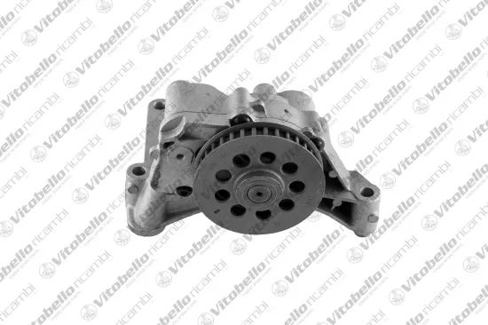 Ölpumpe Vitobello Ricambi 1003406N Bild Ölpumpe Vitobello Ricambi 1003406N