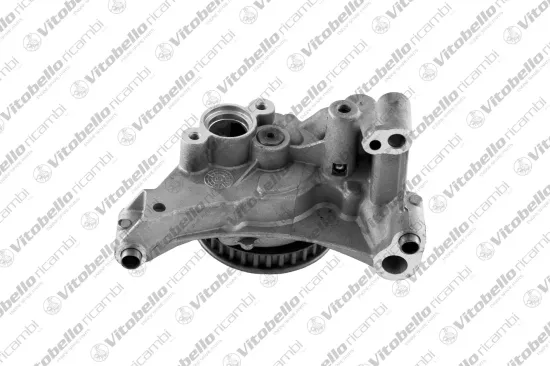 Ölpumpe Vitobello Ricambi 1003406N Bild Ölpumpe Vitobello Ricambi 1003406N