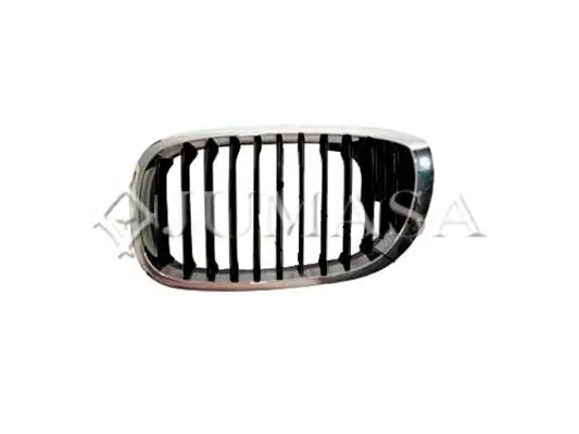 Kühlergitter links JUMASA 21010541 Bild Kühlergitter links JUMASA 21010541