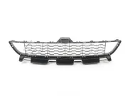 Lüftungsgitter, Stoßfänger vorne JUMASA 22000574