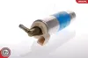 Kraftstoffpumpe 12 V Kraftstoffleitung ESEN SKV 02SKV017 Bild Kraftstoffpumpe 12 V Kraftstoffleitung ESEN SKV 02SKV017
