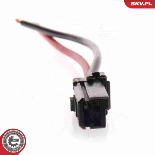 Kraftstoffpumpe 12 V im Kraftstofftank ESEN SKV 02SKV205 Bild Kraftstoffpumpe 12 V im Kraftstofftank ESEN SKV 02SKV205