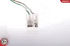 Kraftstoffpumpe 12 V im Kraftstoffbehälter ESEN SKV 02SKV224 Bild Kraftstoffpumpe 12 V im Kraftstoffbehälter ESEN SKV 02SKV224