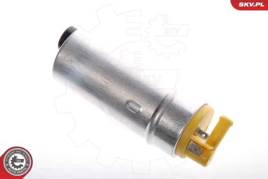 Kraftstoffpumpe 12 V im Kraftstofftank ESEN SKV 02SKV243