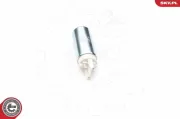Kraftstoffpumpe 12 V im Kraftstofftank ESEN SKV 02SKV309