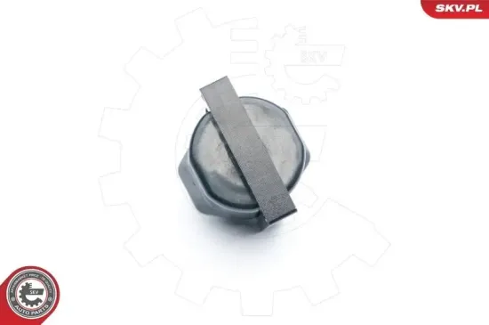 Zündspule 12 V ESEN SKV 03SKV253 Bild Zündspule 12 V ESEN SKV 03SKV253