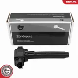 Lenker, Radaufhängung Hinterachse ESEN SKV 04SKV039