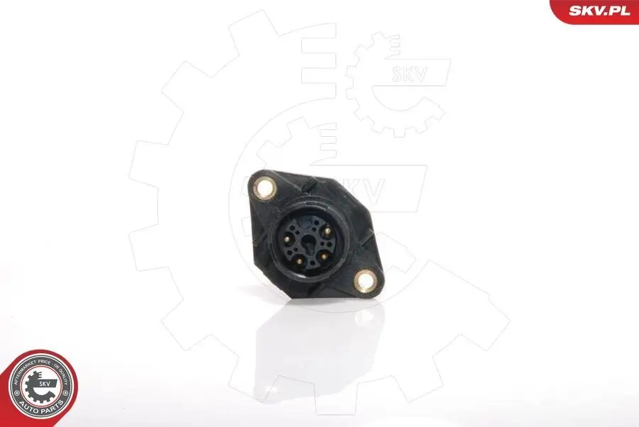 Luftmassenmesser 12 V ESEN SKV 07SKV022