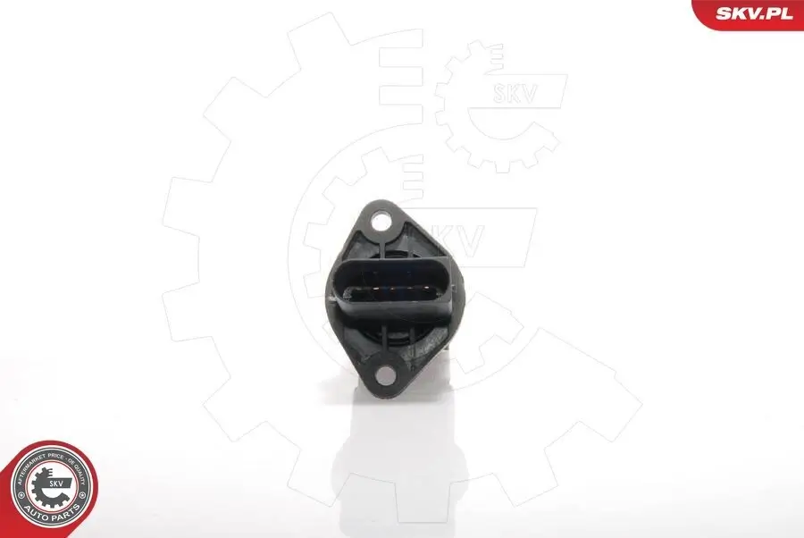 Luftmassenmesser 12 V ESEN SKV 07SKV139