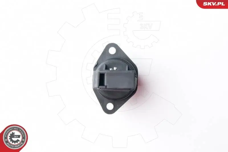 Luftmassenmesser 12 V ESEN SKV 07SKV502