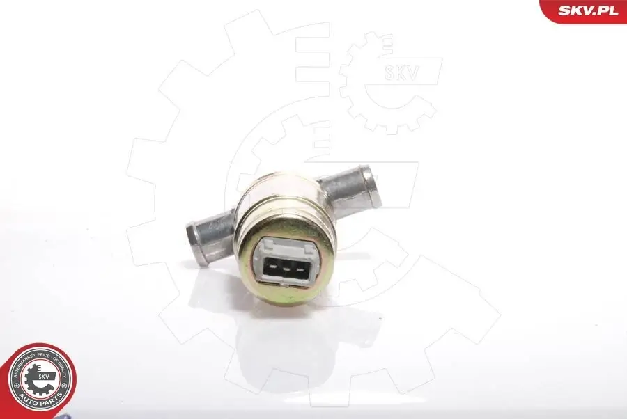 Leerlaufregelventil, Luftversorgung 12 V ESEN SKV 08SKV207