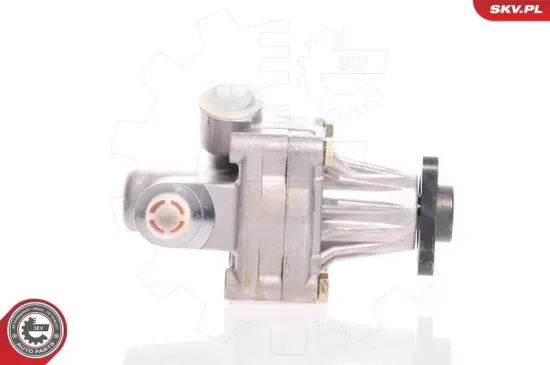 Hydraulikpumpe, Lenkung ESEN SKV 10SKV011 Bild Hydraulikpumpe, Lenkung ESEN SKV 10SKV011