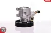 Hydraulikpumpe, Lenkung ESEN SKV 10SKV013