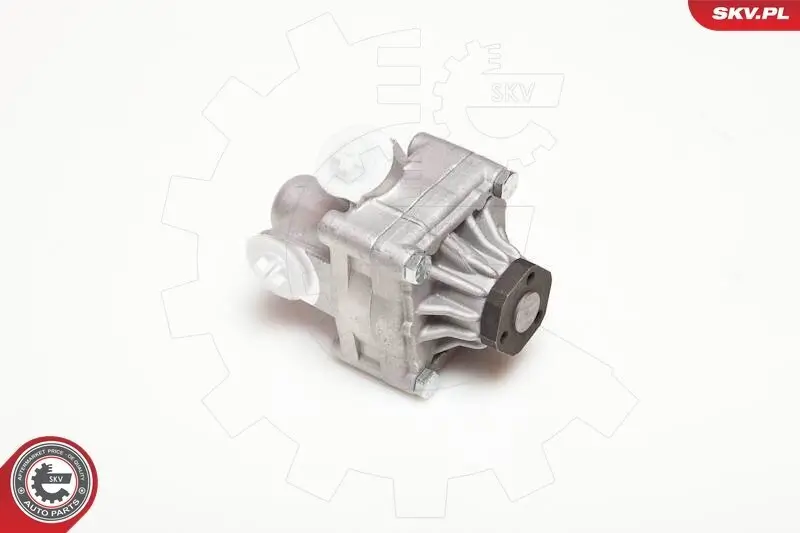 Hydraulikpumpe, Lenkung ESEN SKV 10SKV312